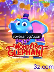 Descubra o Fascinante Mundo de WonderElephant